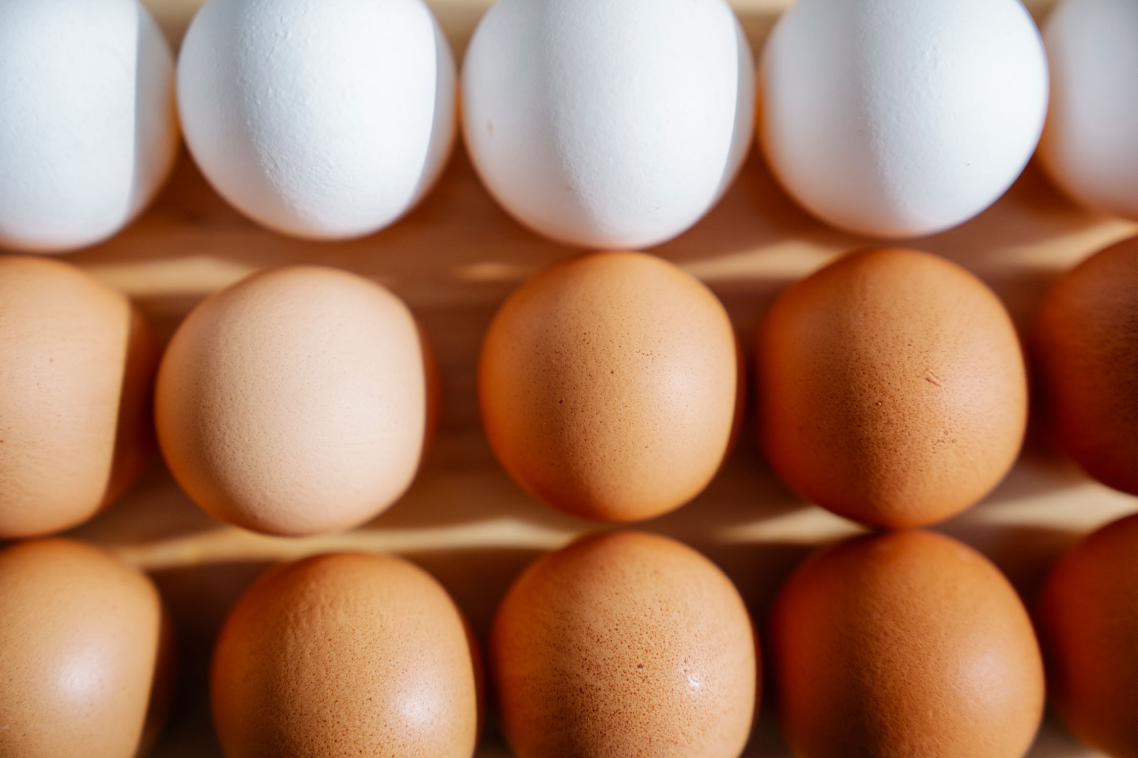 fontes de proteina para mulher acima dos 40 anos tabela de alimentos